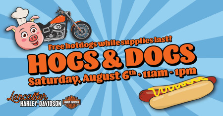 Hogs & Dogs