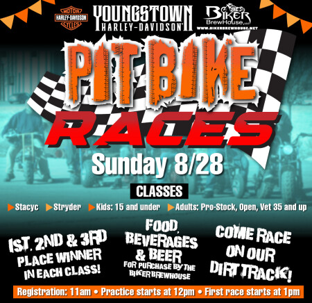 PIT Bike Races