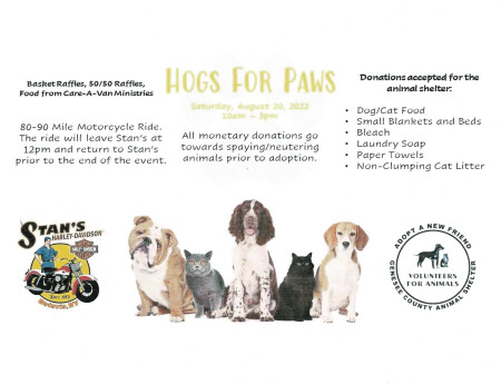 HOGS FOR PAWS