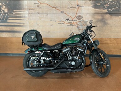 Harley-Davidson<sup>®</sup> Iron 883<sup>™</sup> 2021 XL 883N 409129U-ADV Snake Venom