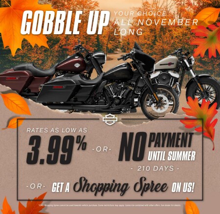 All November