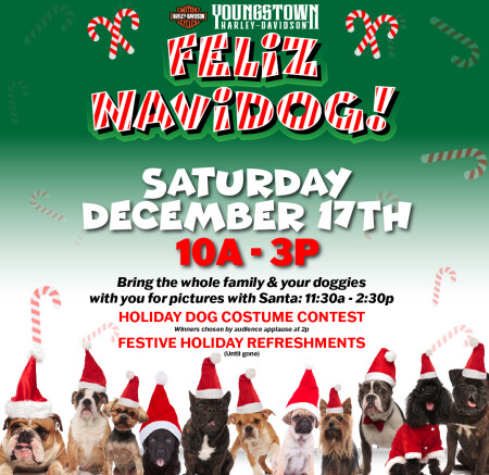 Feliz Navidog!
