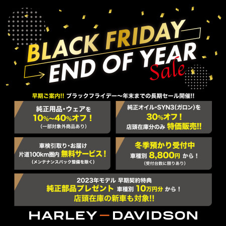 【BLACK FRIDAY開催中!】