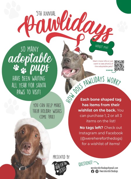 5th Annual Pawlidays! Making Adoption Pups Holiday Dreams Come True!