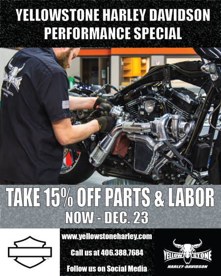Winter Performance Special