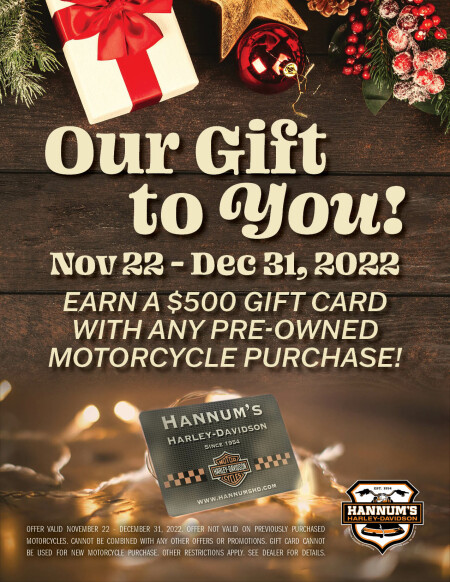 Our Gift To You!