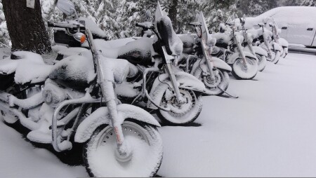 WINTERSTALLING