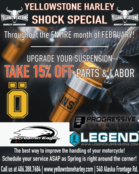 YHD Shock Sale
