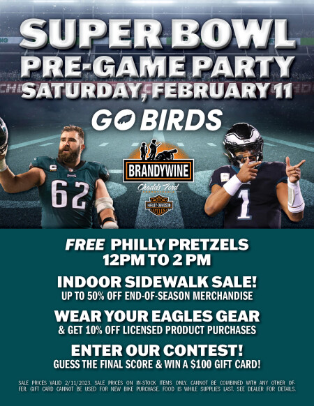Superbowl Pre-game Party! Go Birds!