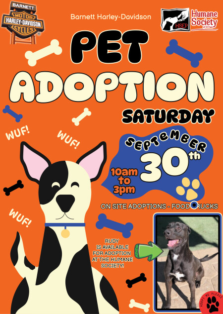 Pet Adoption