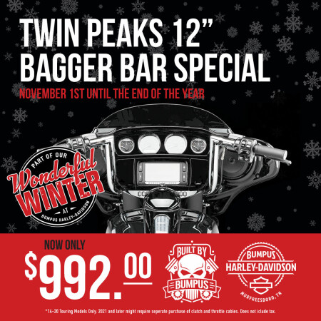 Wonderful Winter Twin Peaks 12