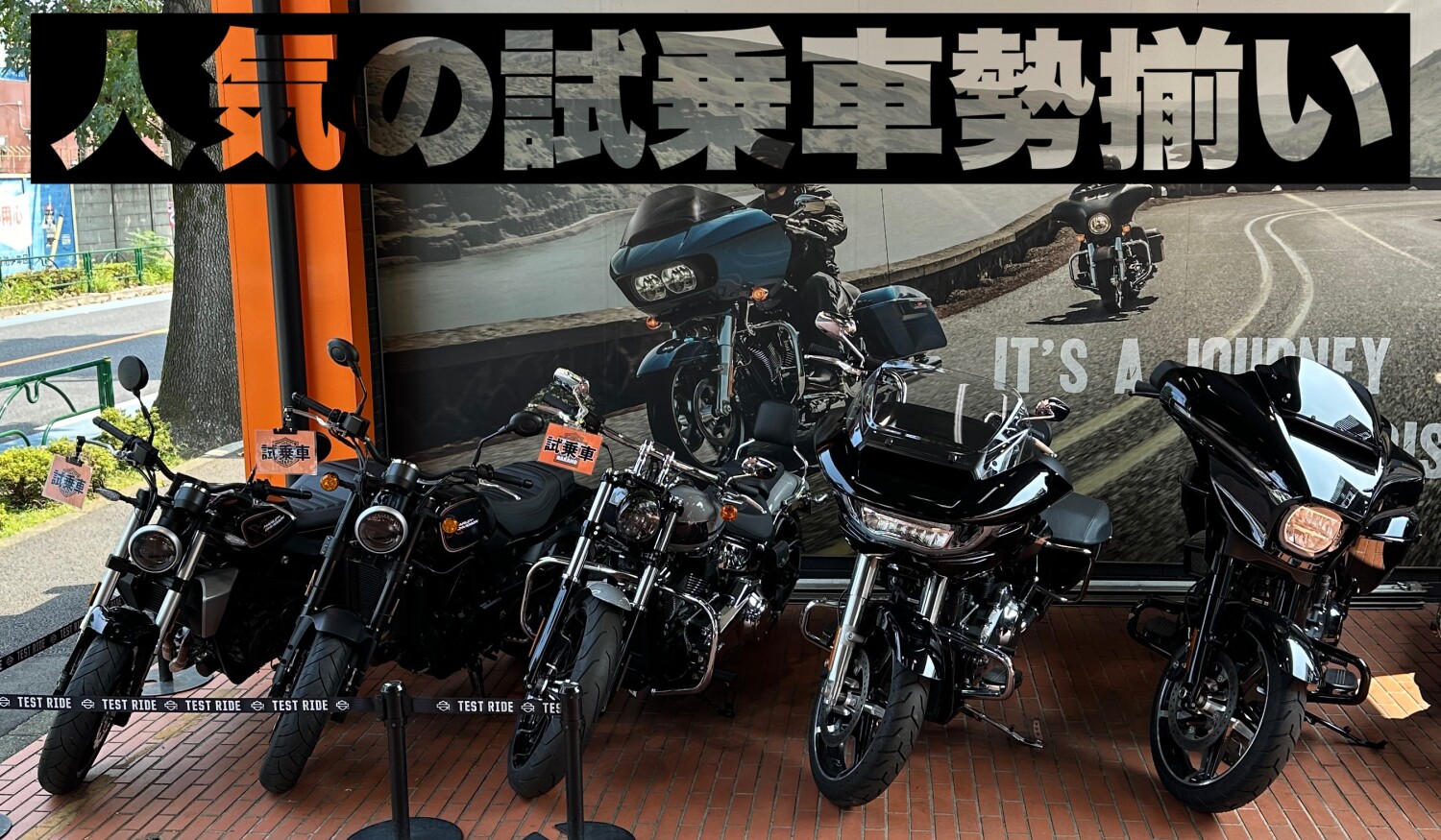 c5d7183170dceb31f026336ce31dc868_1f49d10ebd0d7b64.jpg