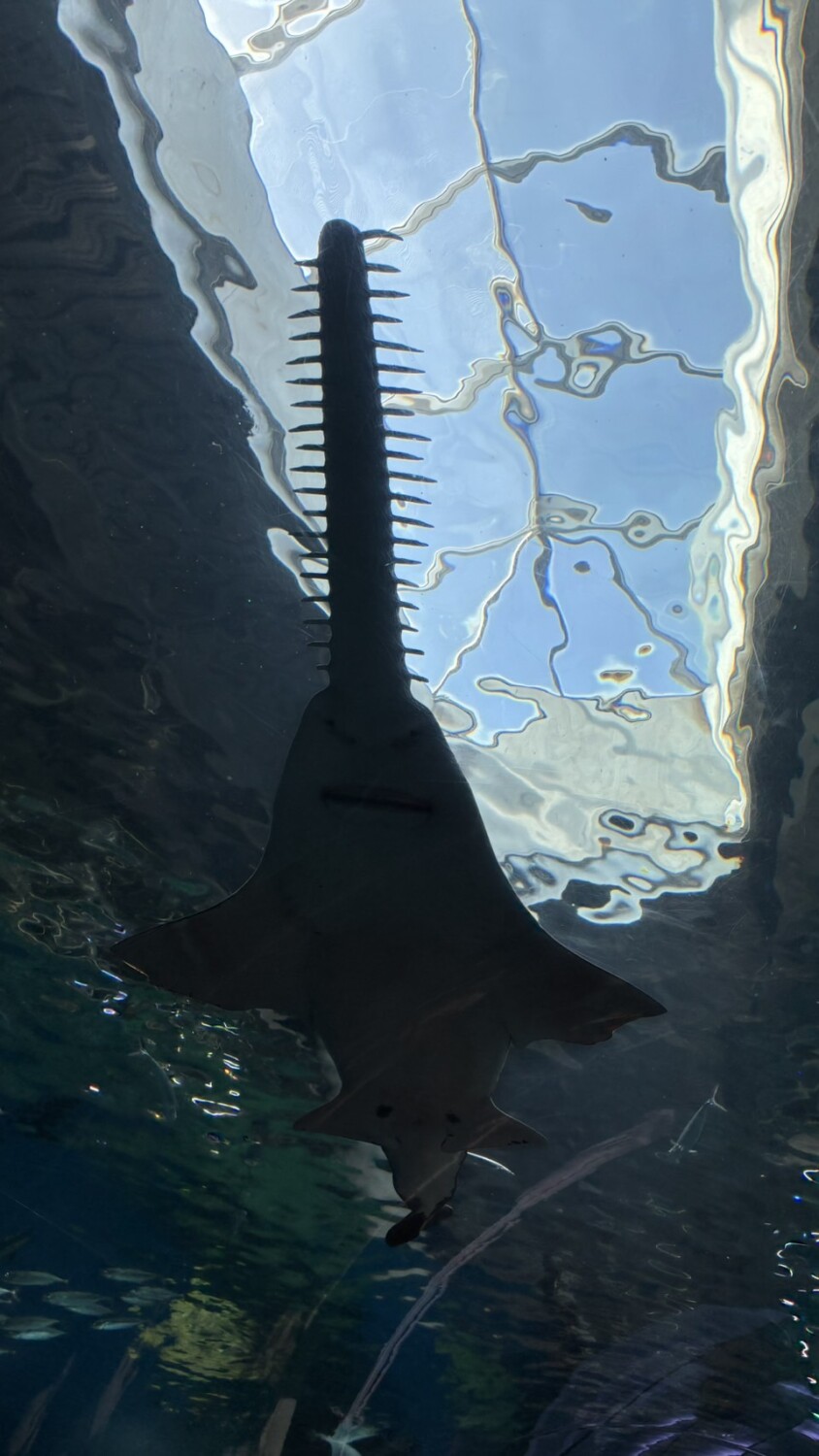 3d0e963bc94cdc11309ca5e550fa7ff6_45b1801db28de716.jpg