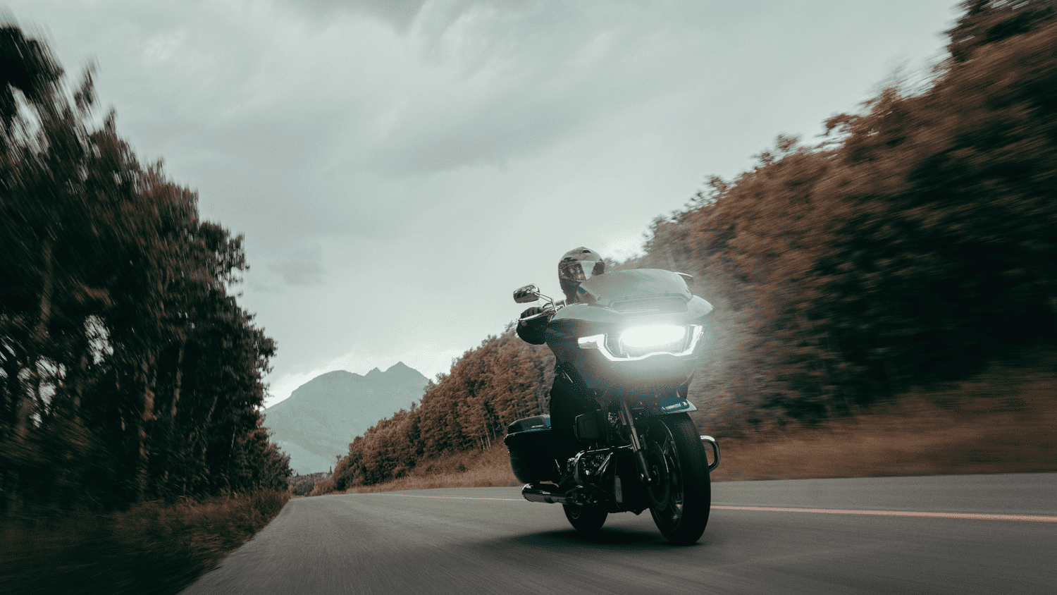 2025 Harley-Davidson® CVO™ Road Glide® with illuminated LED headlight riding through scenic West Palm Beach FL forest road, built for modern touring