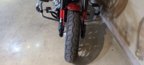 2019 Harley-Davidson Softail Sport Glide thumb 3