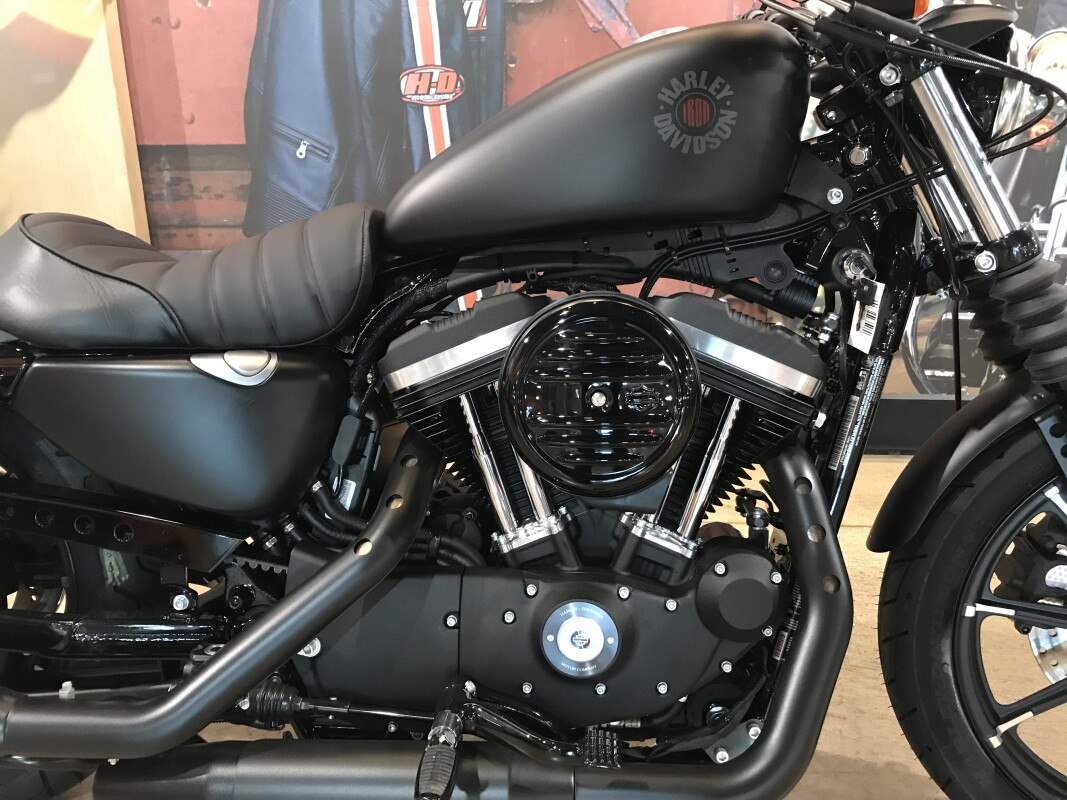 Harley-Davidson® Iron 883™ 2022 XL 