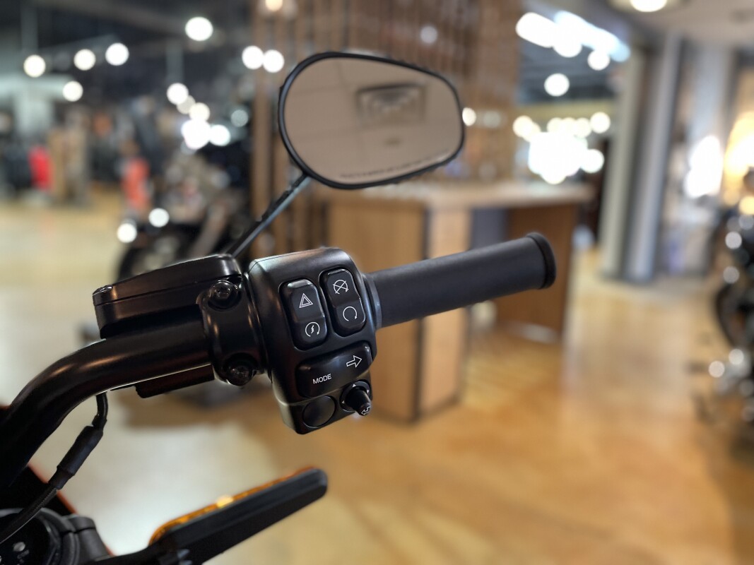 2020 Harley-Davidson LiveWire Orange Fuse - Photo 10