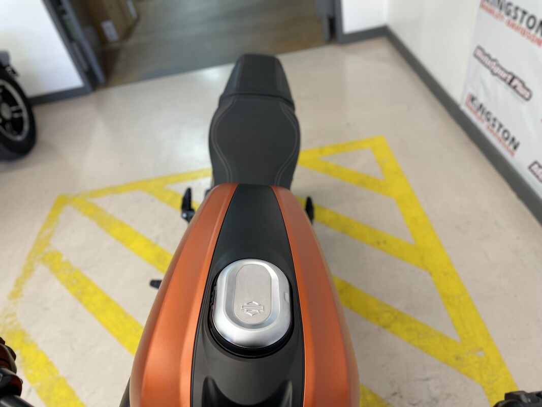 2020 Harley-Davidson LiveWire Orange Fuse - Photo 8