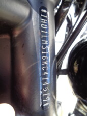  2019 XL1200CX thumb 0