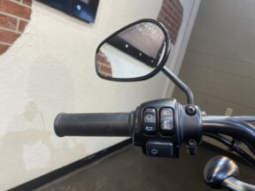 2021 Harley-Davidson FORTY-EIGHT XL1200X thumb 0