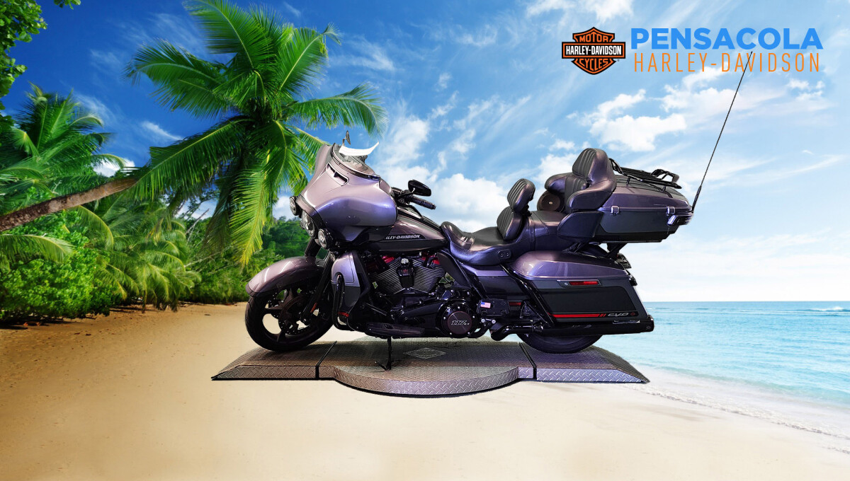 2020 Harley-Davidson CVO Limited Smoky Gray & Stormcloud - Photo 5