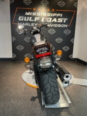 FXLRS 2023 Low Rider® S thumb 1