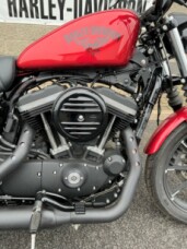2019 Harley-Davidson<sup>®</sup> Iron 883<sup>™</sup> Wicked Red thumb 3