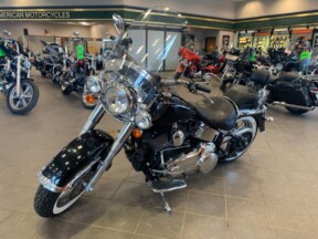 2010 Harley-Davidson Softail Deluxe FLSTN thumb 0