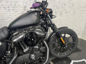 2022 Iron 883 w/  Only 223 Miles! thumb 2