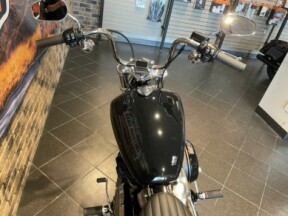 2023 Harley-Davidson Softail Standard Cruiser thumb 1