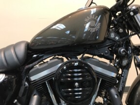 2020 Harley-Davidson® Iron 883™ River Rock Gray  XL883N thumb 2