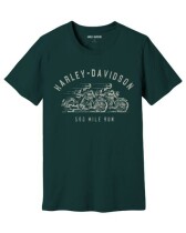 TEE-KNIT,GREEN