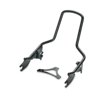 SISSY BAR UPRIGHT, STANDARD, GLOSS BLACK