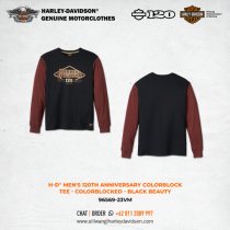 Harley-Davidson® Men's 120th Anniversary Colorblock Tee - Colorblocked - Black Beauty