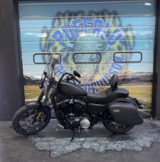 2022 Harley-Davidson<sup>®</sup> Iron 883<sup>™</sup> Black Denim thumb 3