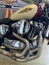 2007 Harley-Davidson<sup>®</sup> Sportster Custom Burgundy and Gold Pearl thumb 3
