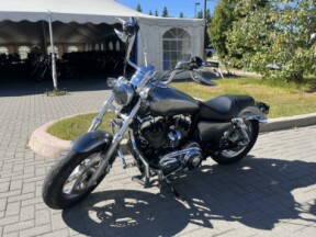 2014 Harley-Davidson Sportster 1200 Custom thumb 3
