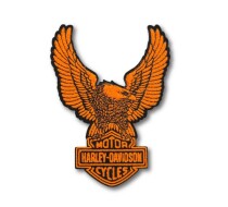 Eagle Iron-On Patch
