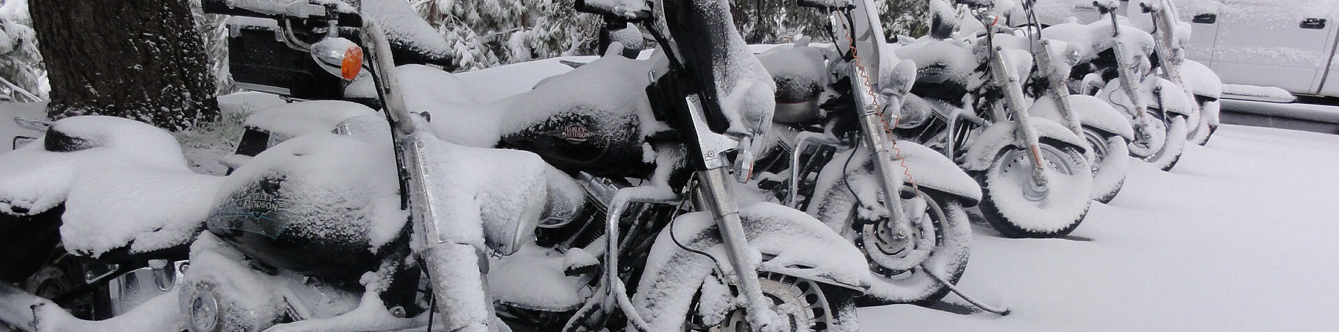 Winter Storage