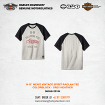 Harley-Davidson® Men's Vintage Spirit Raglan Tee - Colorblock - Grey Heather