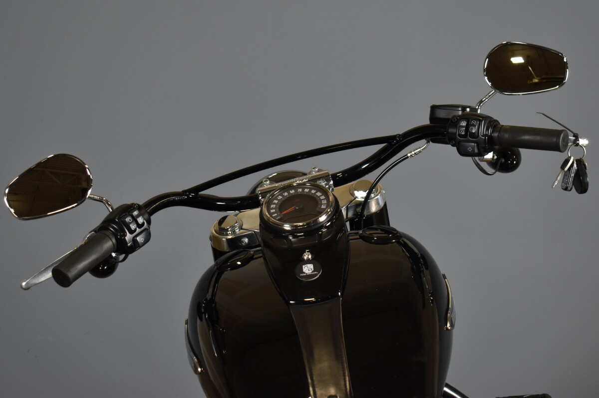2020 Harley-Davidson Softail Slim FLSL - Photo 8