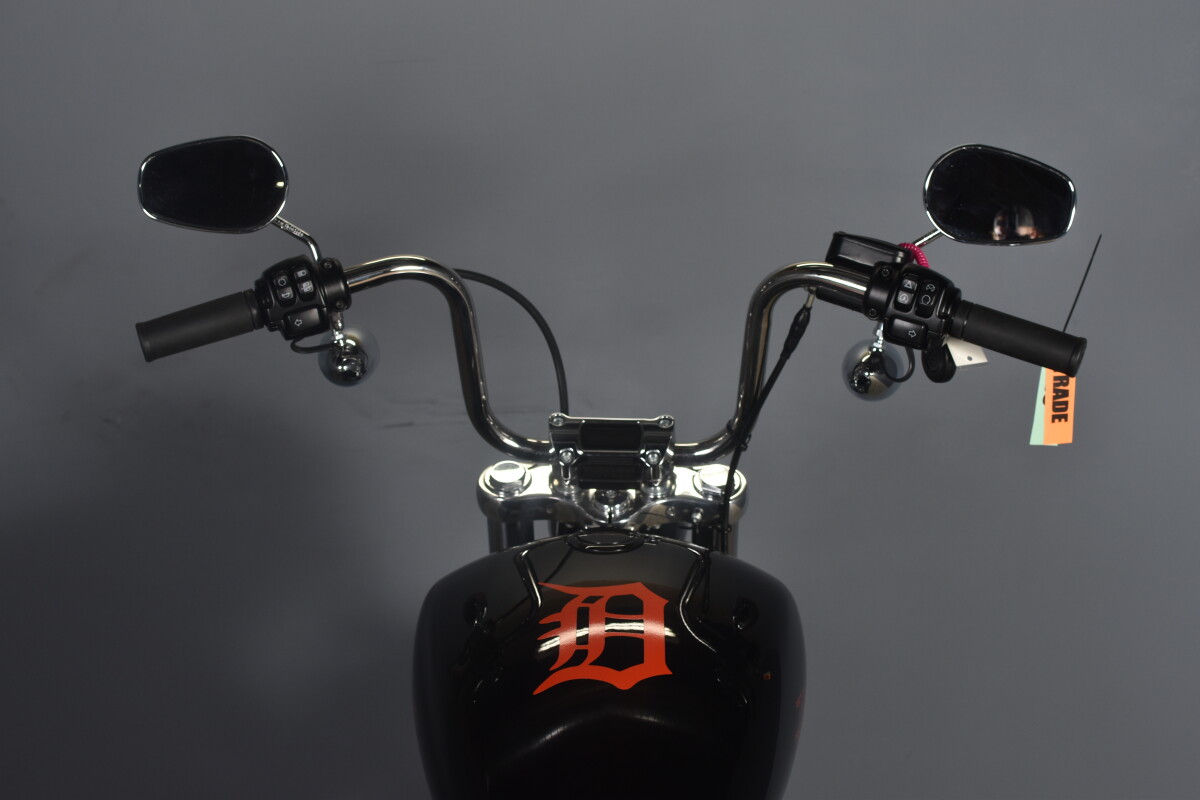 2023 Harley-Davidson Softail Standard FXST - Photo 9