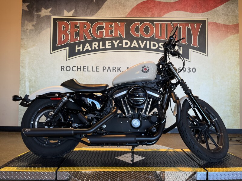 2022 XL883N Iron 883