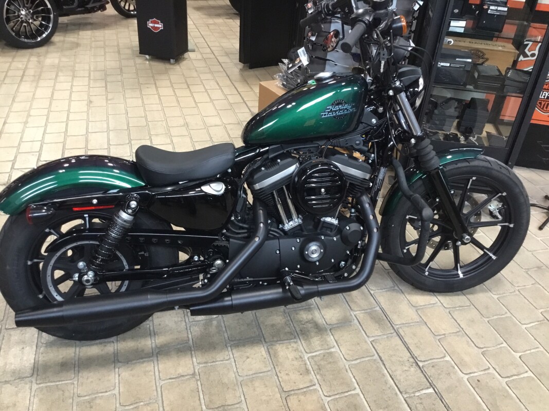 2021 HarleyDavidson® Iron 883™ Snake Venom Black Finish F.X. Caprara HarleyDavidson®