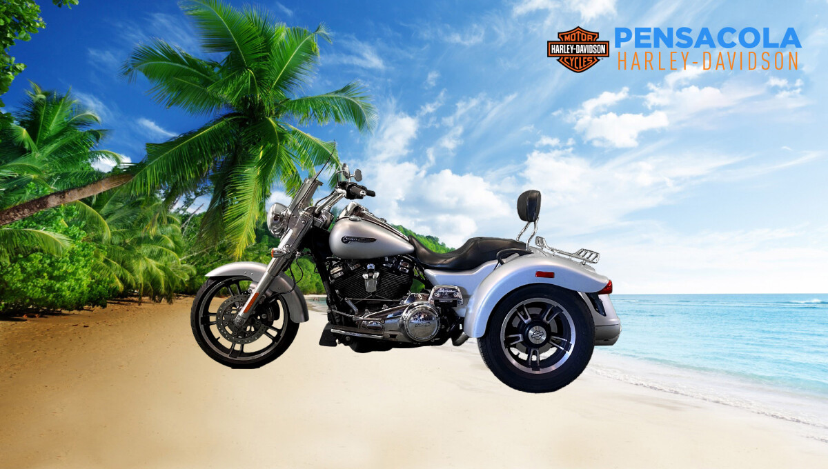 2020 Harley-Davidson Freewheeler - Photo 3