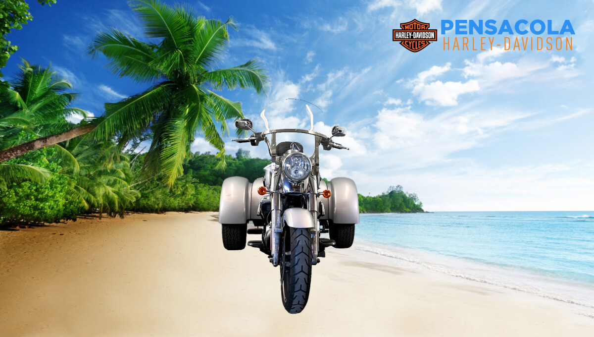 2020 Harley-Davidson Freewheeler - Photo 2