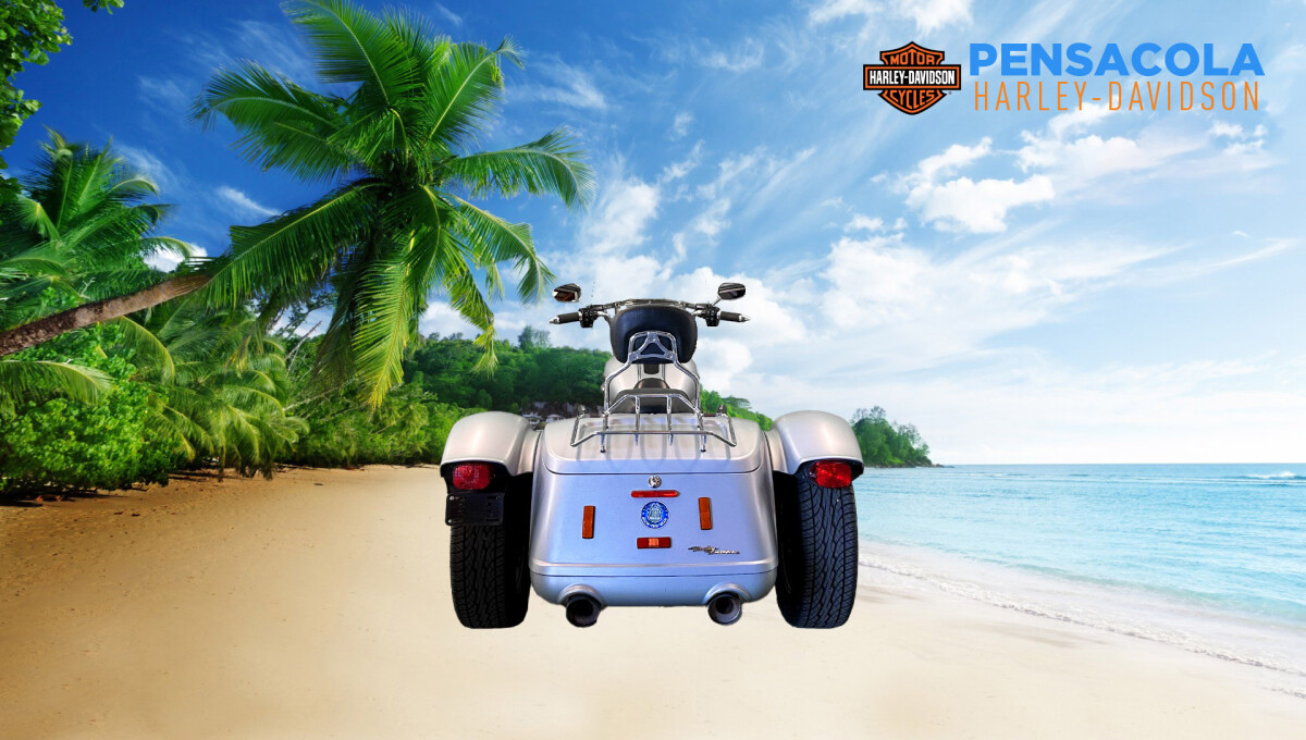 2020 Harley-Davidson Freewheeler - Photo 4