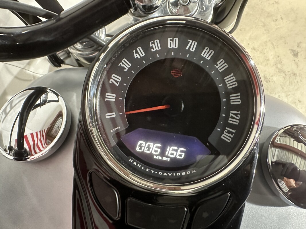 2020 Harley-Davidson Softail Slim Barracuda Silver Denim - Photo 5