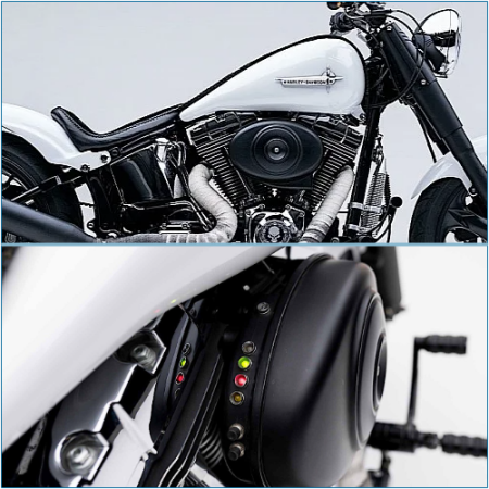 The embodiment of flawless black and white interplay is epitomized in the customized Harley-Davidson