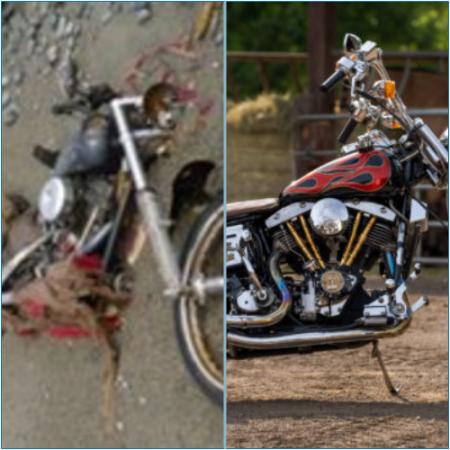 Survivor of tsunami alleges discovery of Harley-Davidson in Canada.